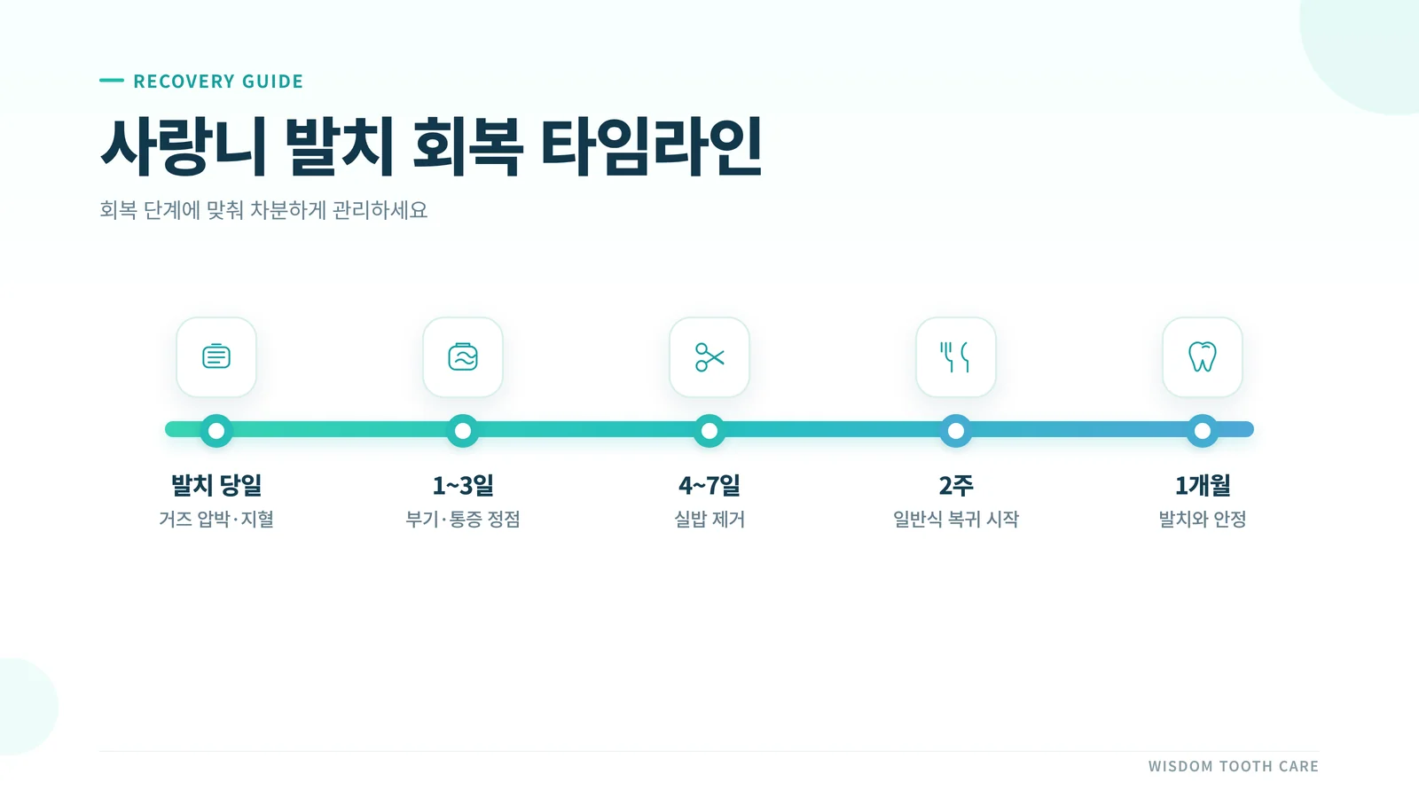 사랑니 발치 회복 타임라인 인포그래픽 — 당일·1~3일·4~7일·2주·1개월