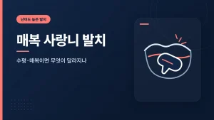 rq-35813-wisdom-tooth-thumb